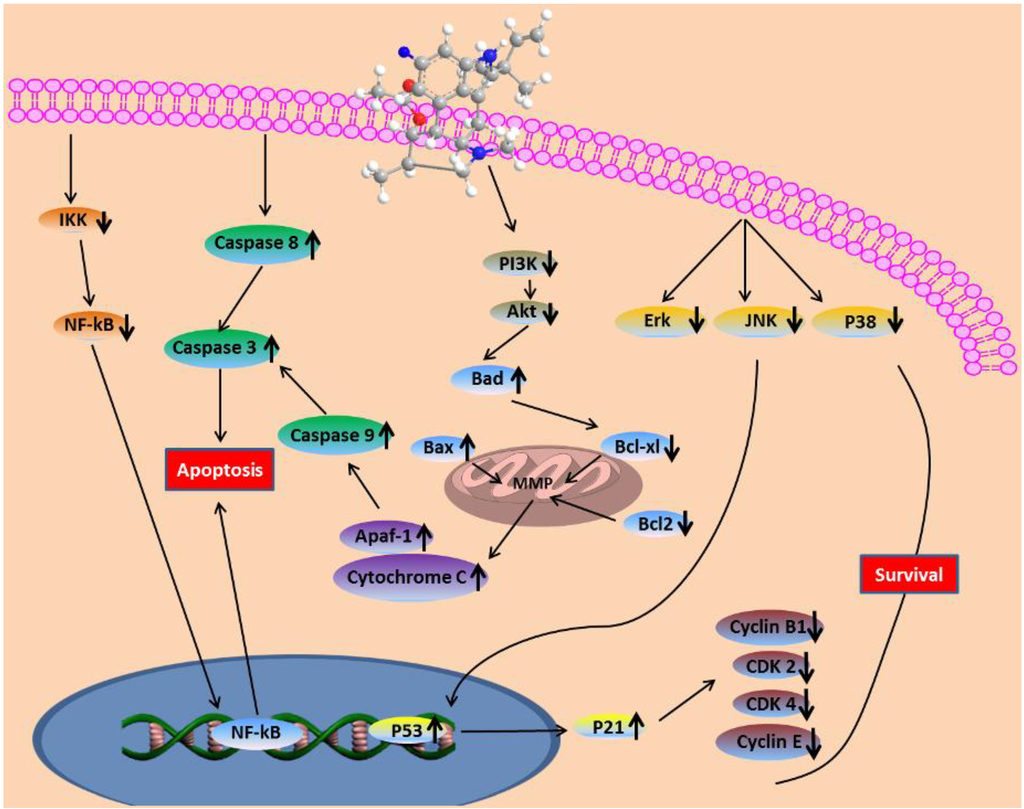 Marinedrugs 11 05063 g009 1024