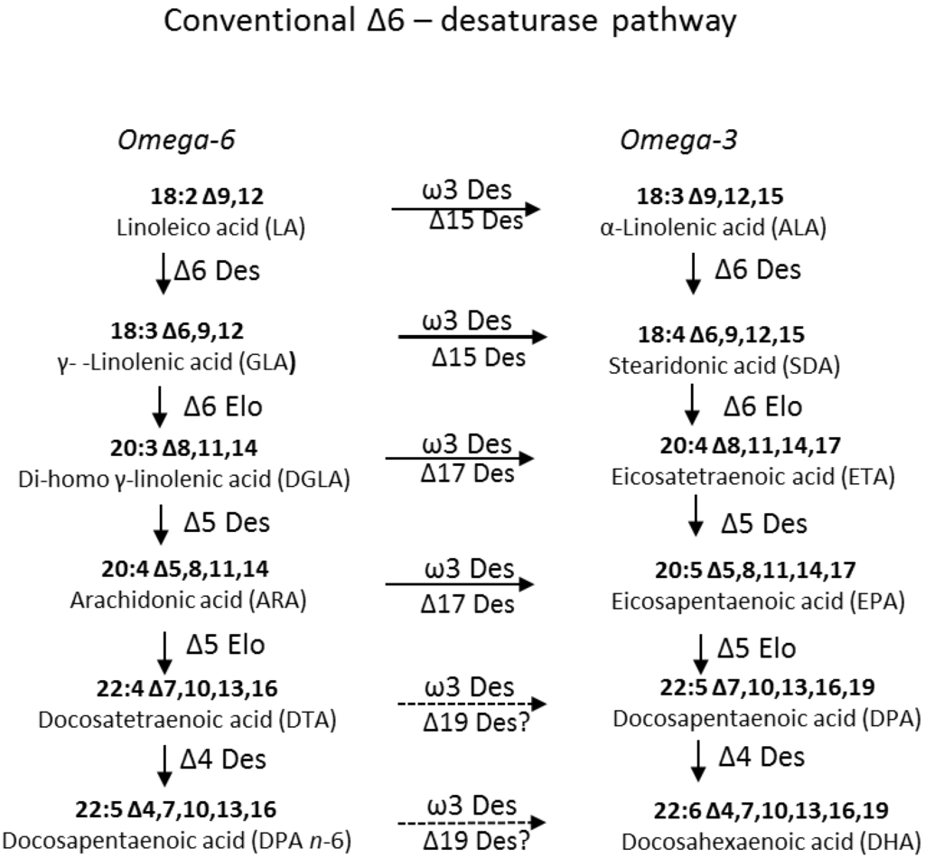 Marinedrugs 11 05116 g001 1024