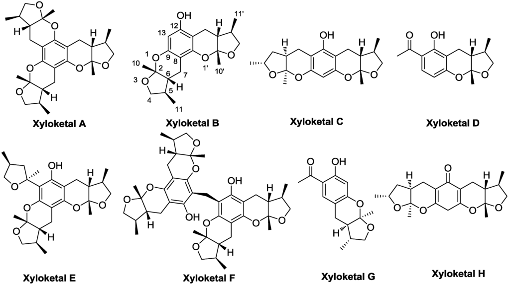 Marinedrugs 11 05159 g010 1024