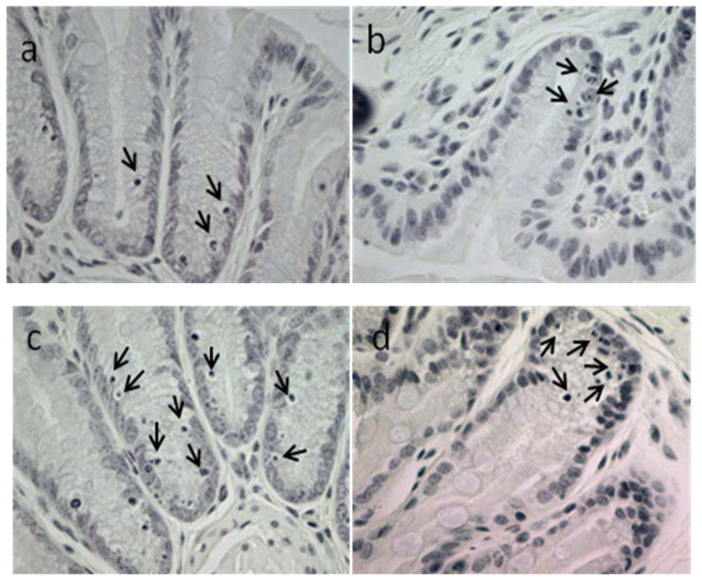 Marinedrugs 12 00017 g005 1024