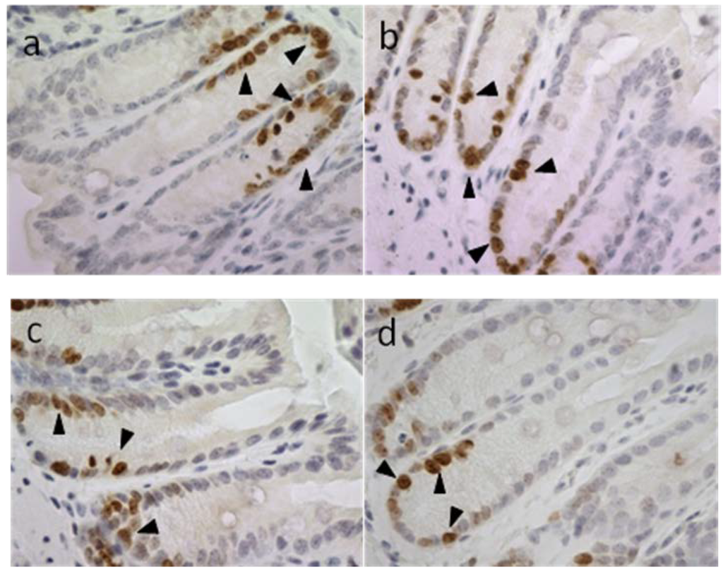 Marinedrugs 12 00017 g006 1024