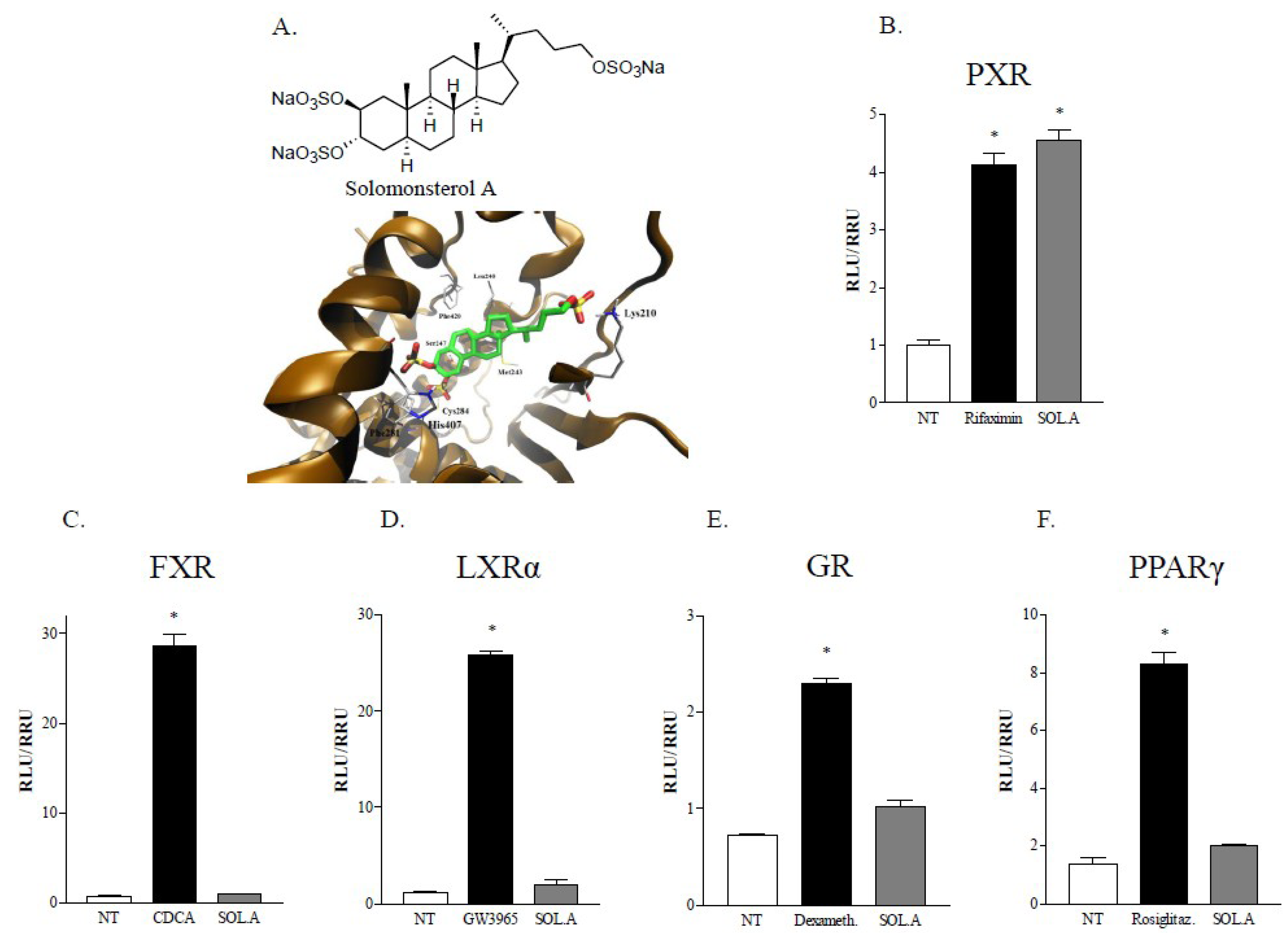 Marinedrugs 12 00036 g001