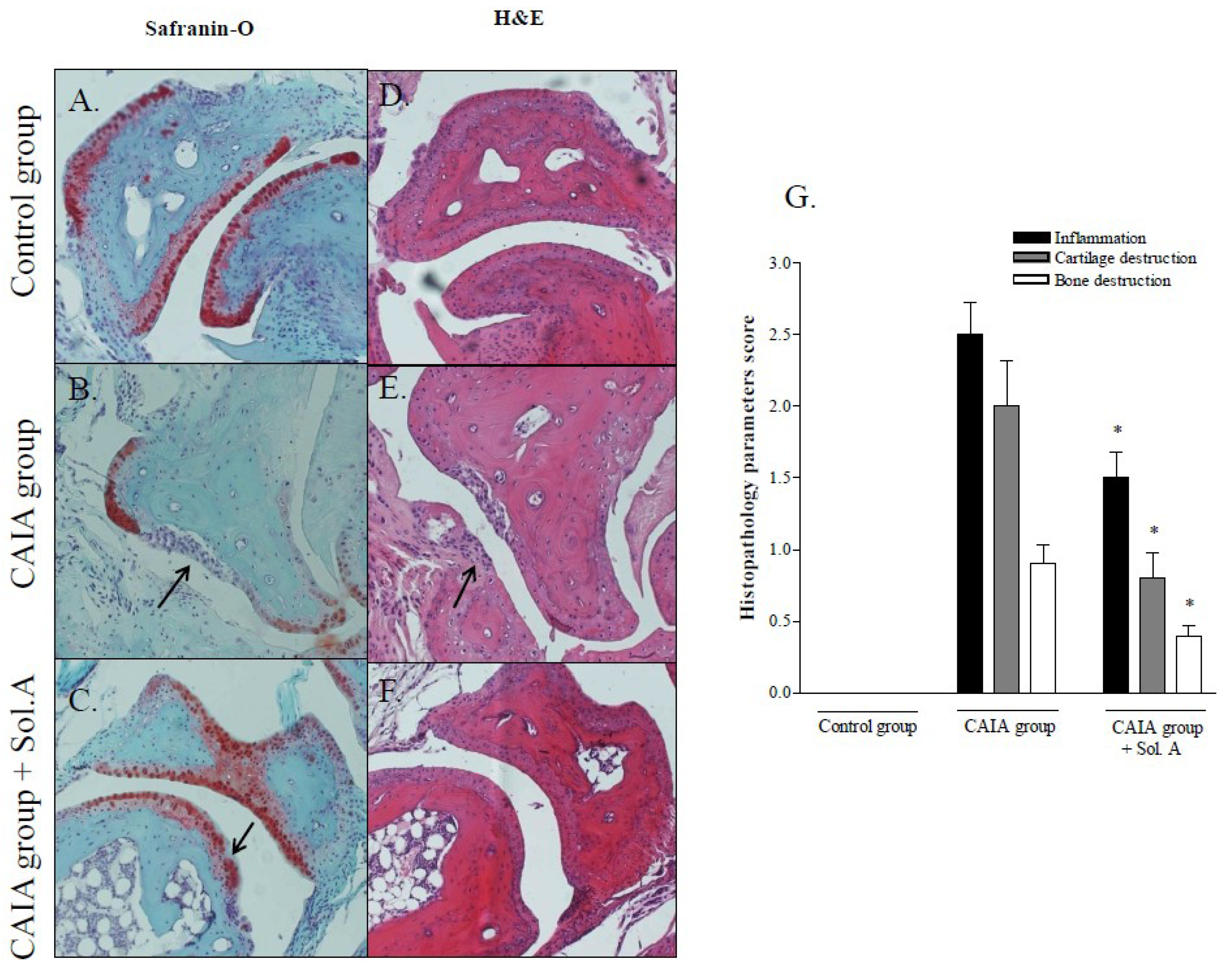 Marinedrugs 12 00036 g004