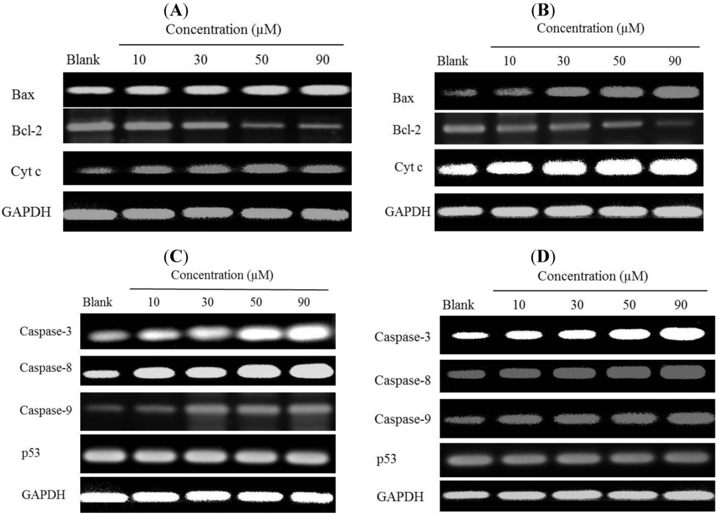 Marinedrugs 12 00069 g006 1024
