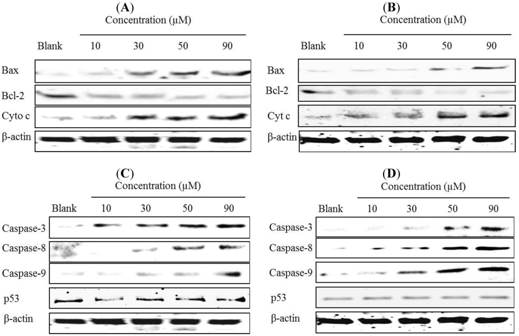 Marinedrugs 12 00069 g007 1024