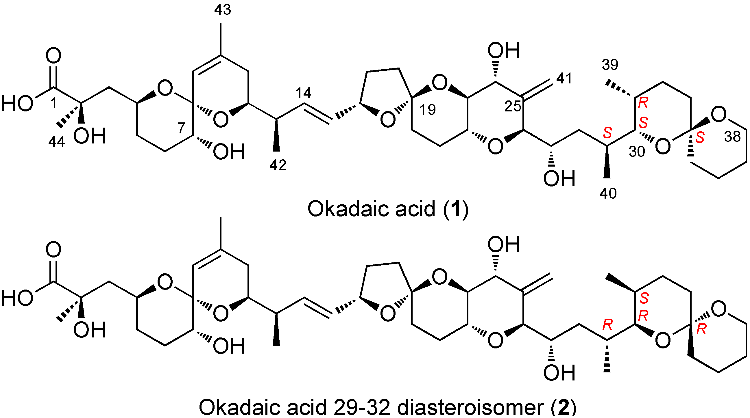 Marinedrugs 12 00176 g001
