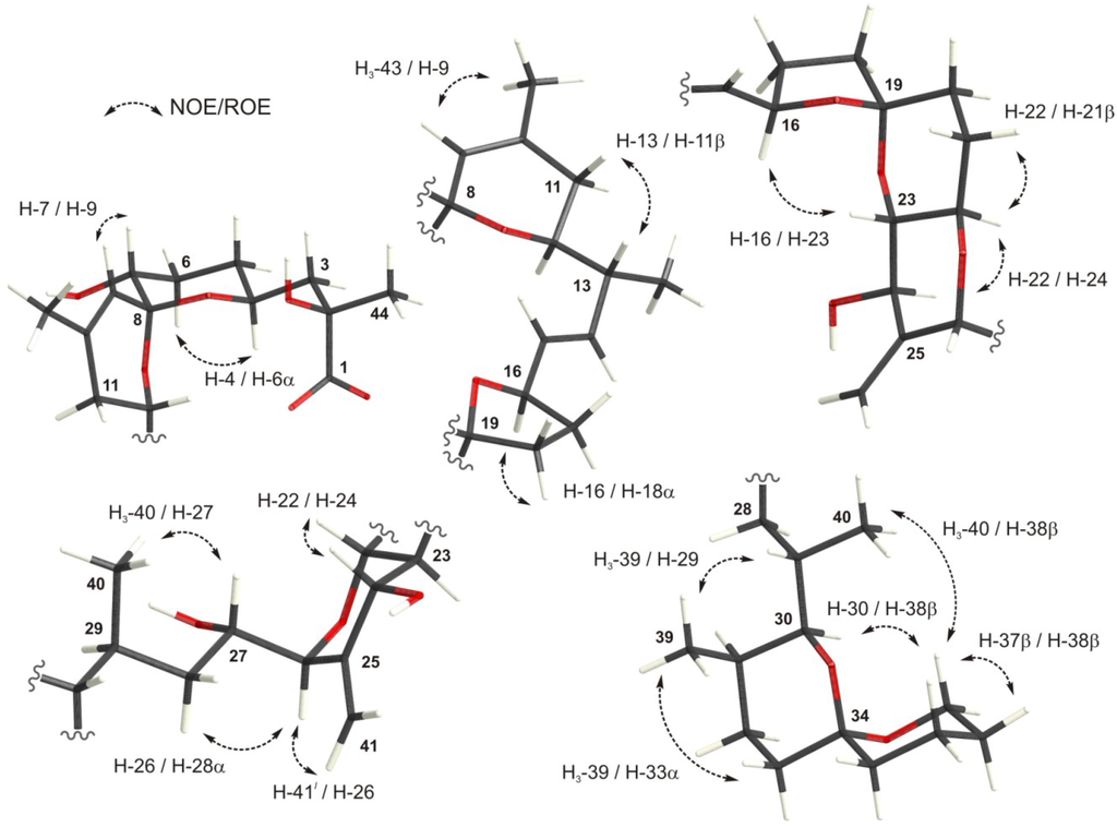 Marinedrugs 12 00176 g002 1024