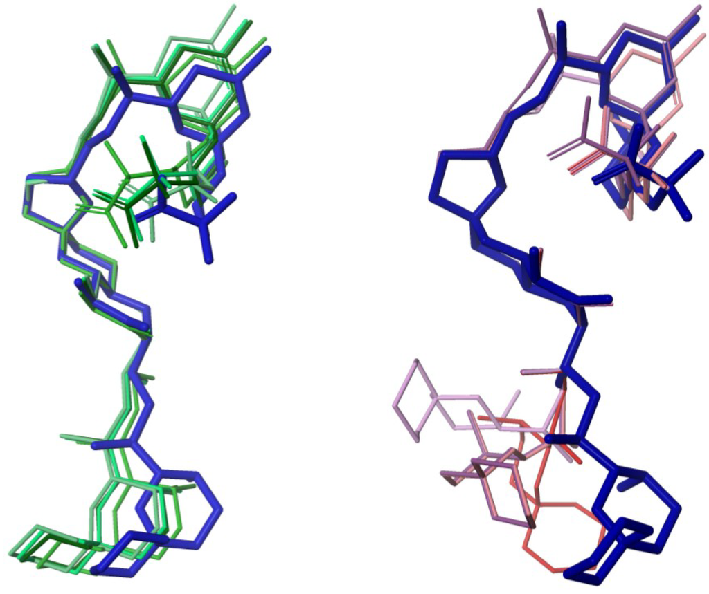 Marinedrugs 12 00176 g005 1024