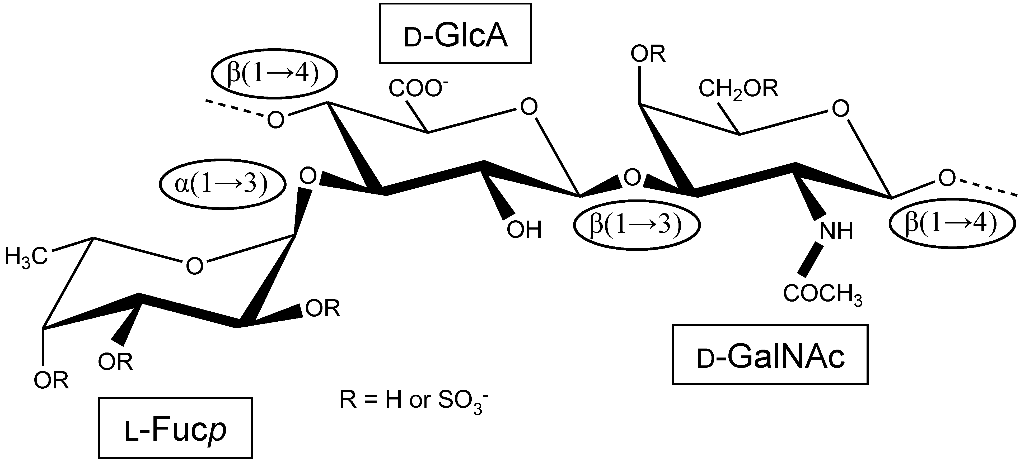 Marinedrugs 12 00232 g001