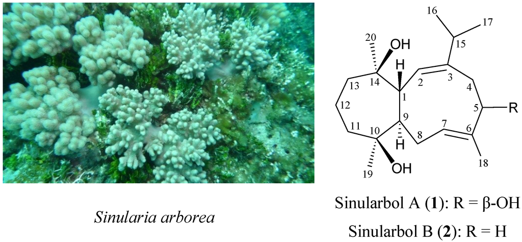 Marinedrugs 12 00385 g001 1024