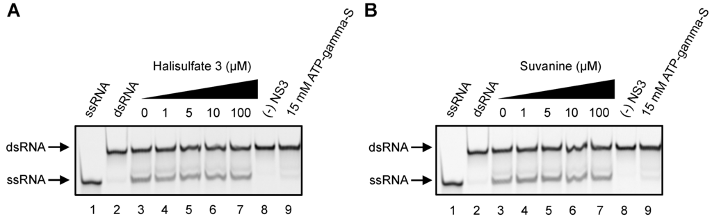 Marinedrugs 12 00462 g006 1024