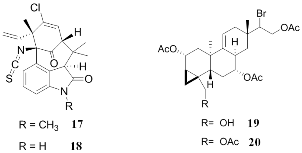 Marinedrugs 12 00525 g005 1024