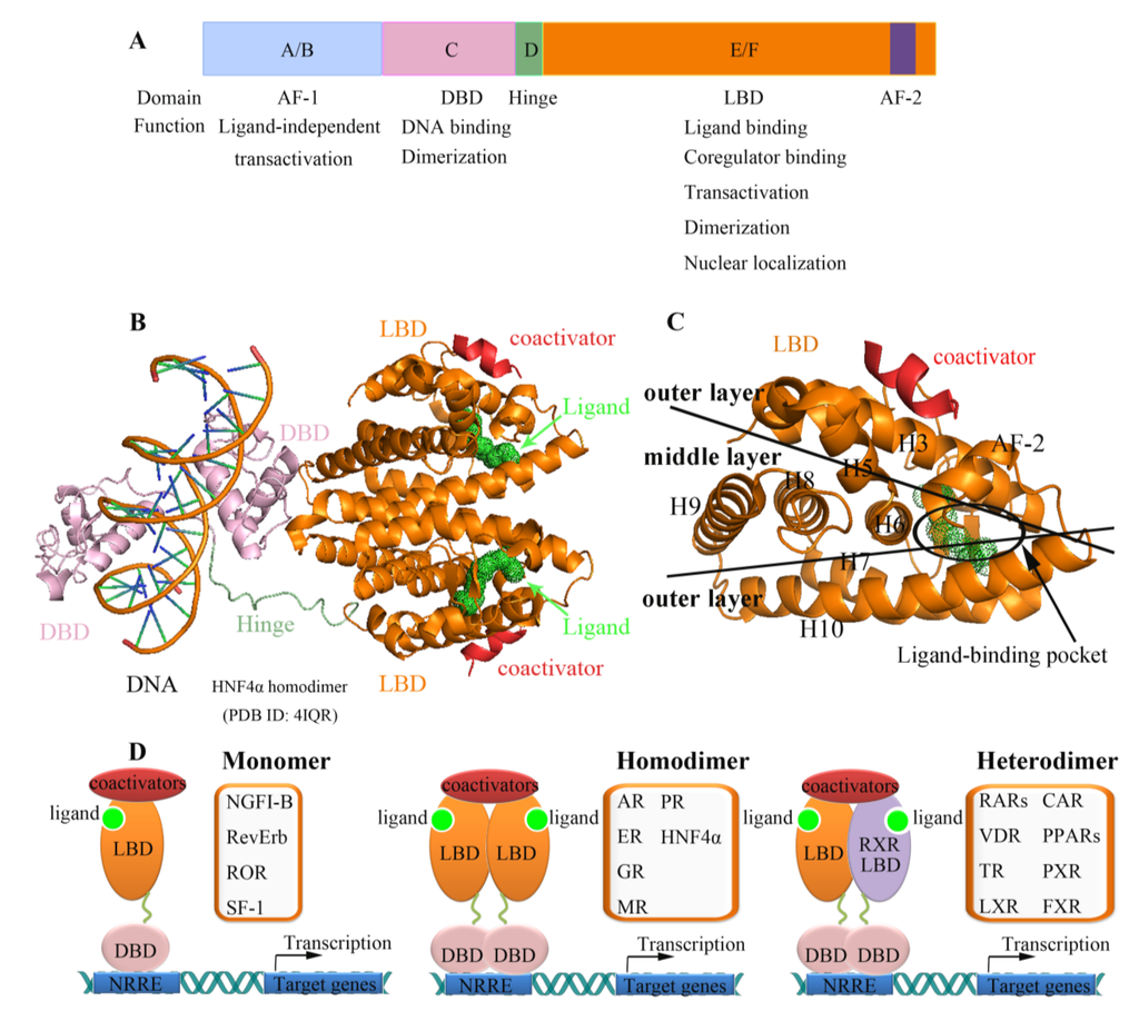 Marinedrugs 12 00601 g001 1024