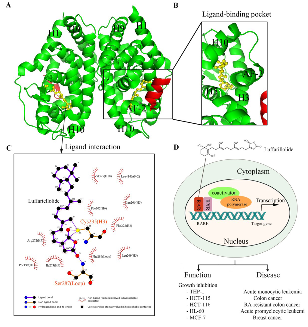 Marinedrugs 12 00601 g003 1024