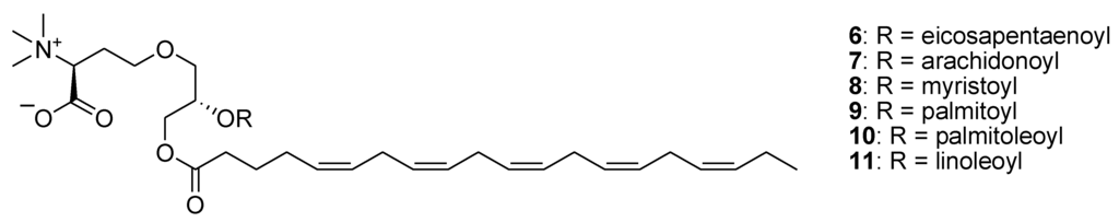 Marinedrugs 12 00636 g004 1024