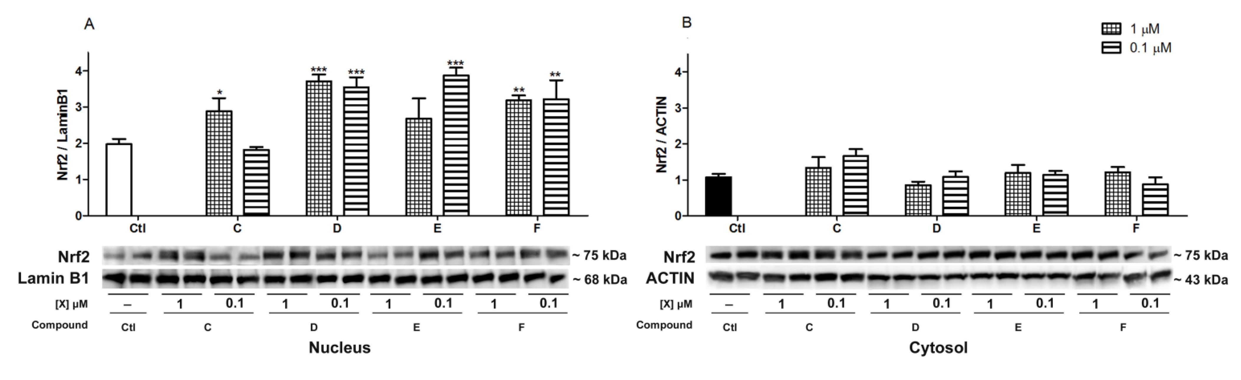 Marinedrugs 12 00700 g008