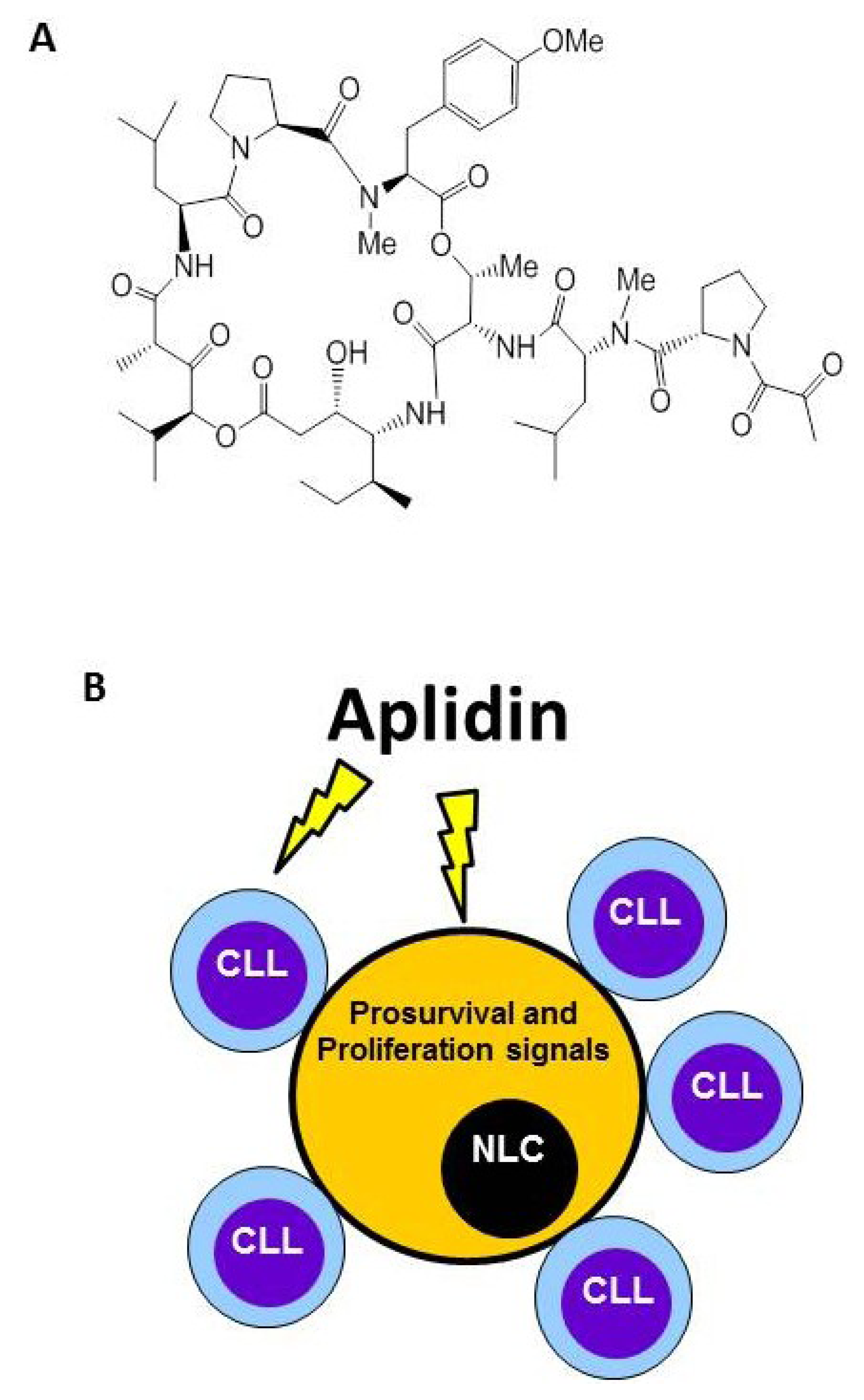 Marinedrugs 12 00719 g002