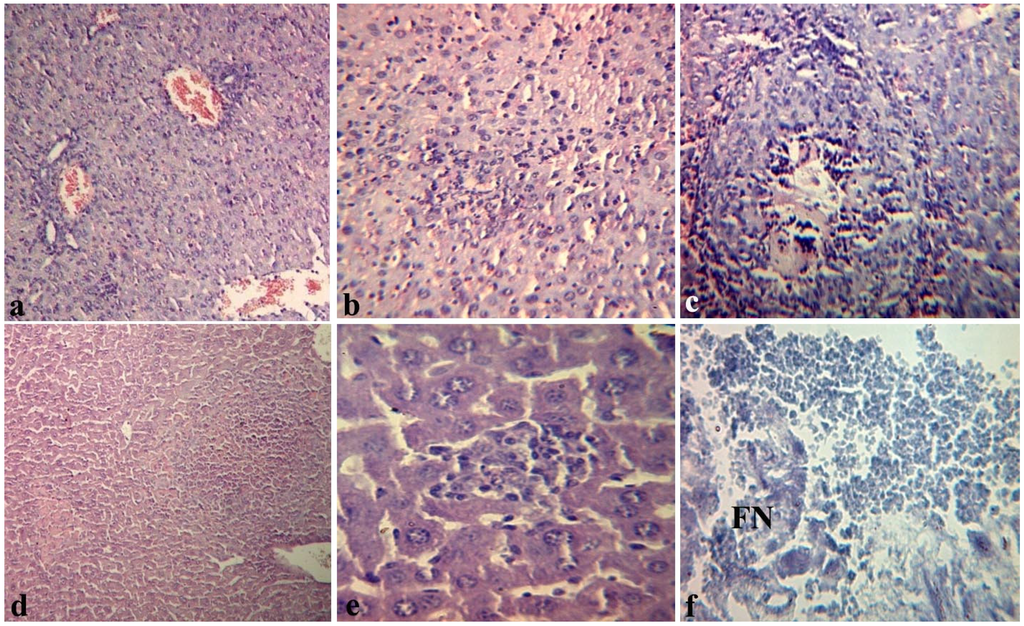 Marinedrugs 12 00886 g003 1024