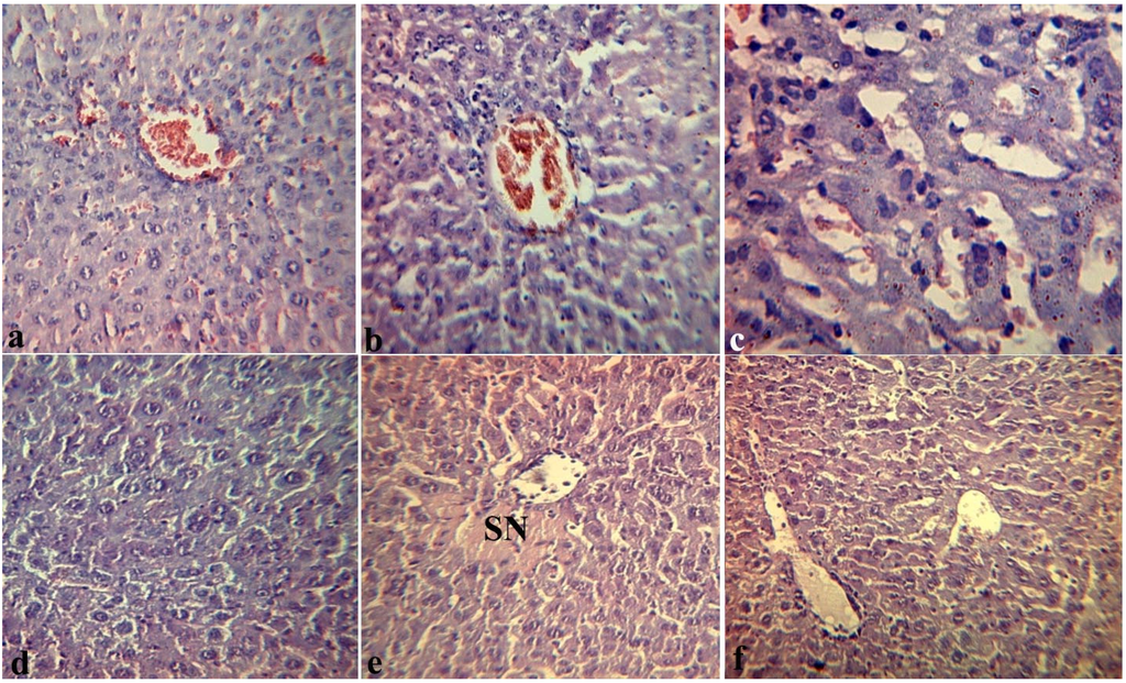 Marinedrugs 12 00886 g004 1024