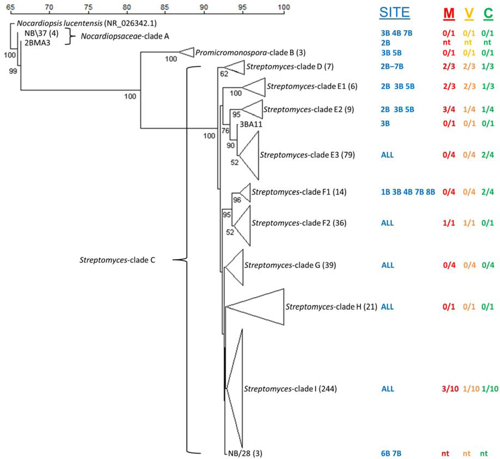 Marinedrugs 12 00899 g005 1024