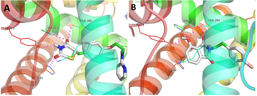 Marinedrugs 12 00926 g003 1024