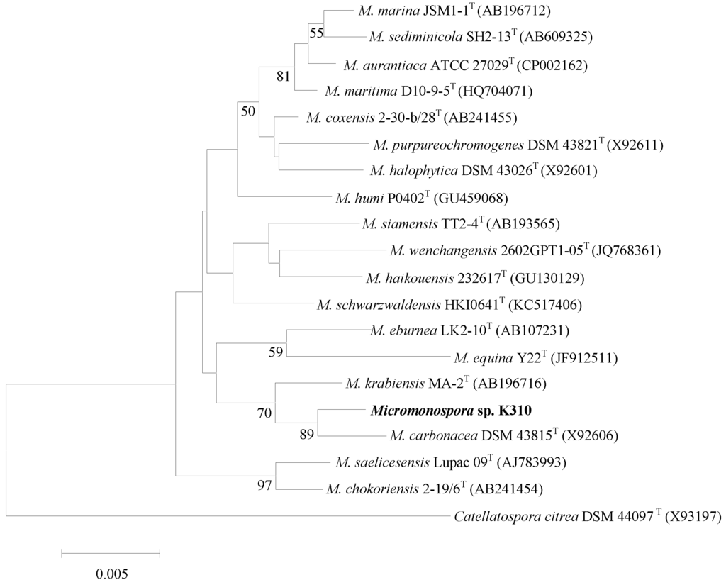Marinedrugs 12 00999 g002 1024