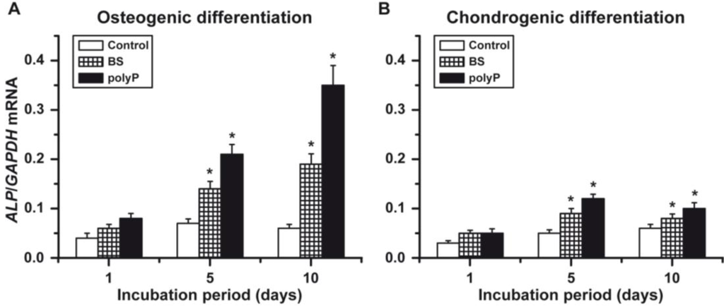 Marinedrugs 12 01131 g005 1024