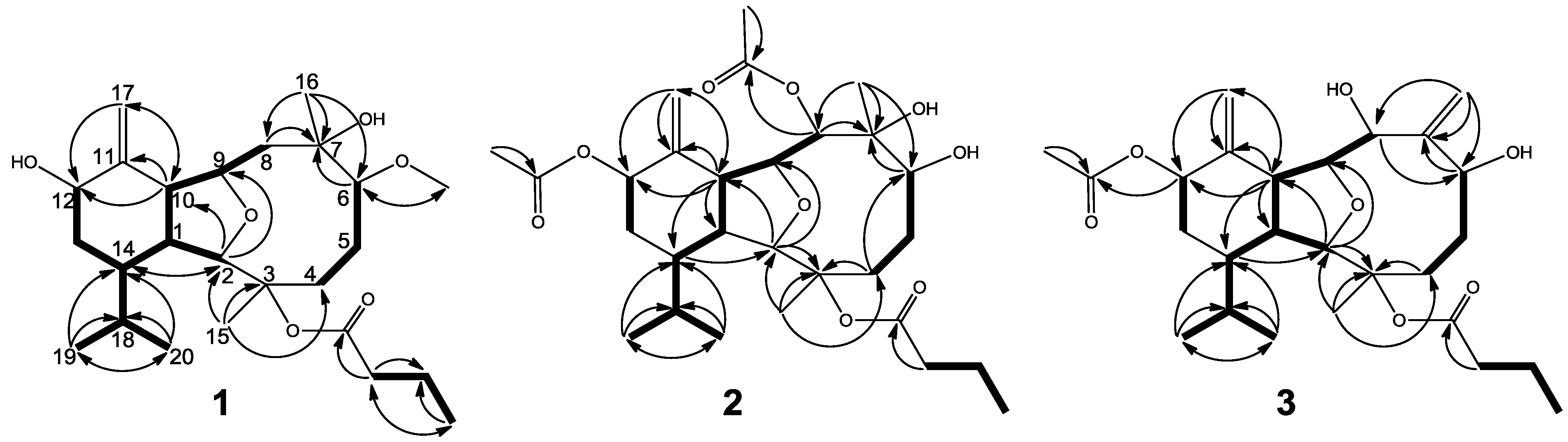 Marinedrugs 12 01148 g001