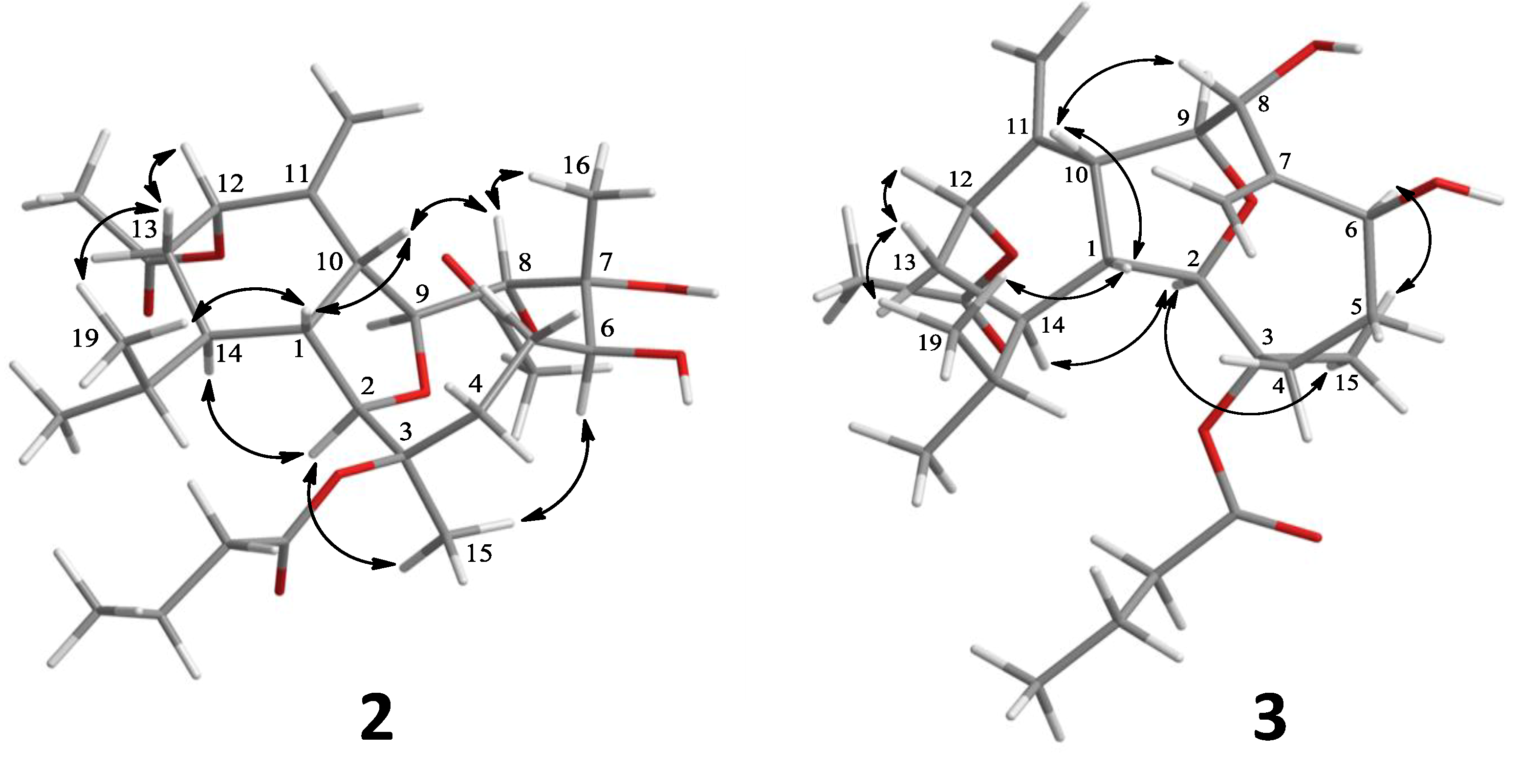 Marinedrugs 12 01148 g002