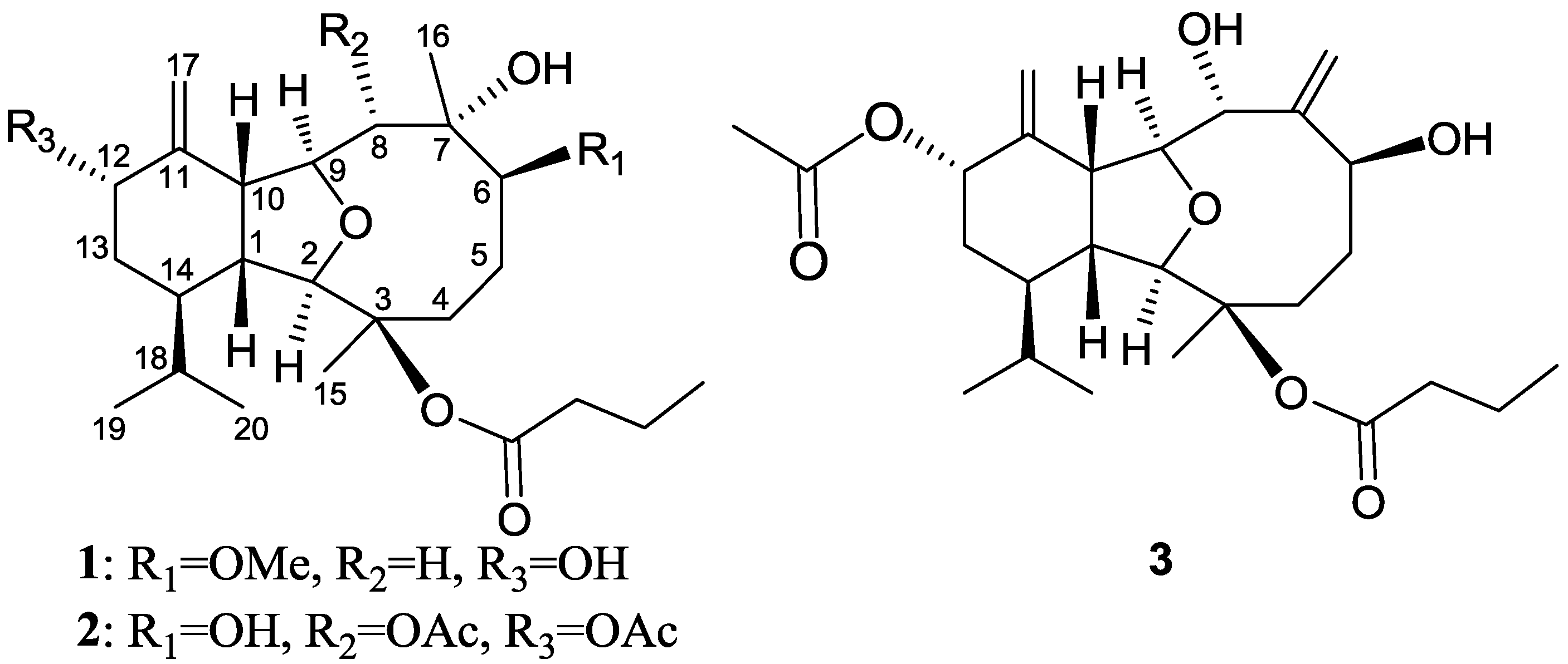 Marinedrugs 12 01148 g003