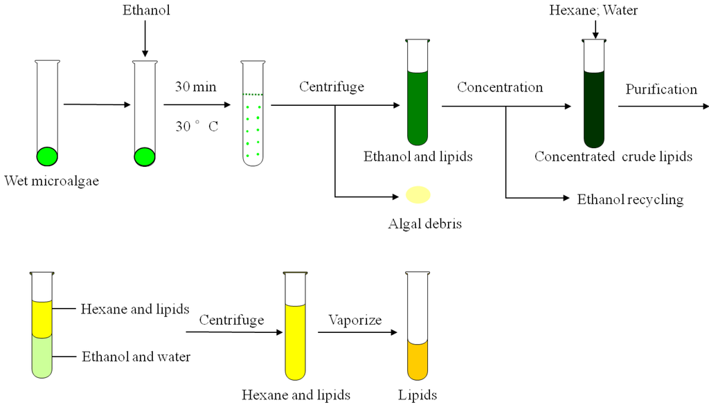 Marinedrugs 12 01258 g002 1024