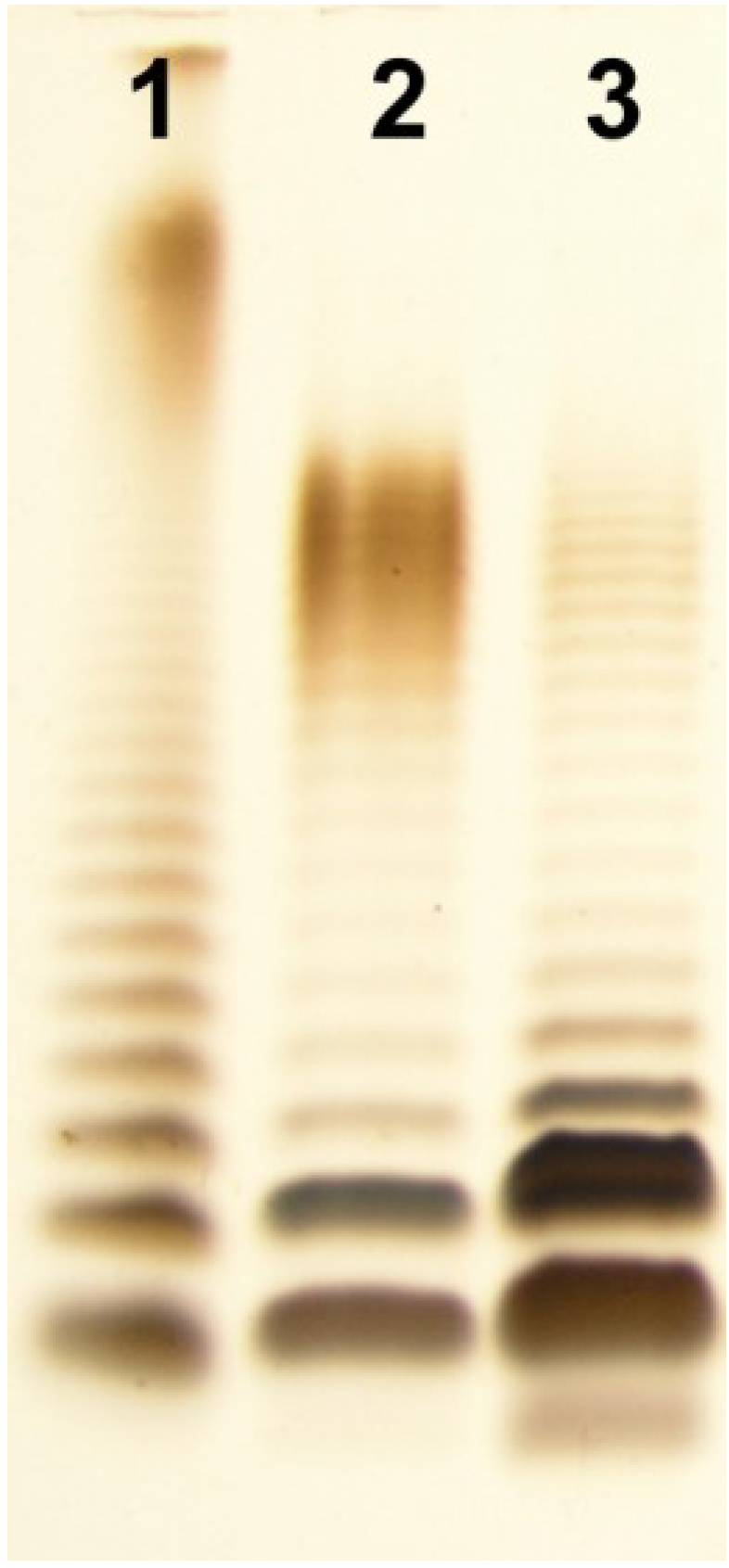 Marinedrugs 12 01298 g001 1024