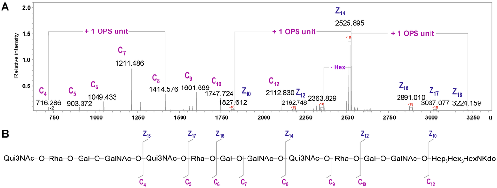 Marinedrugs 12 01298 g006 1024