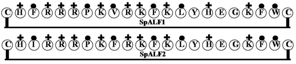 Marinedrugs 12 01471 g003 1024