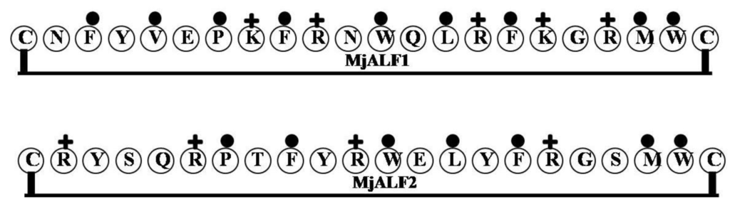 Marinedrugs 12 01471 g008 1024