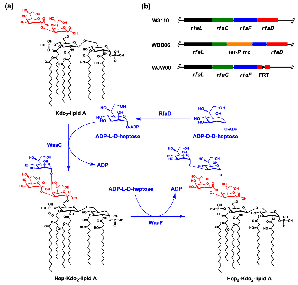 Marinedrugs 12 01495 g001 1024