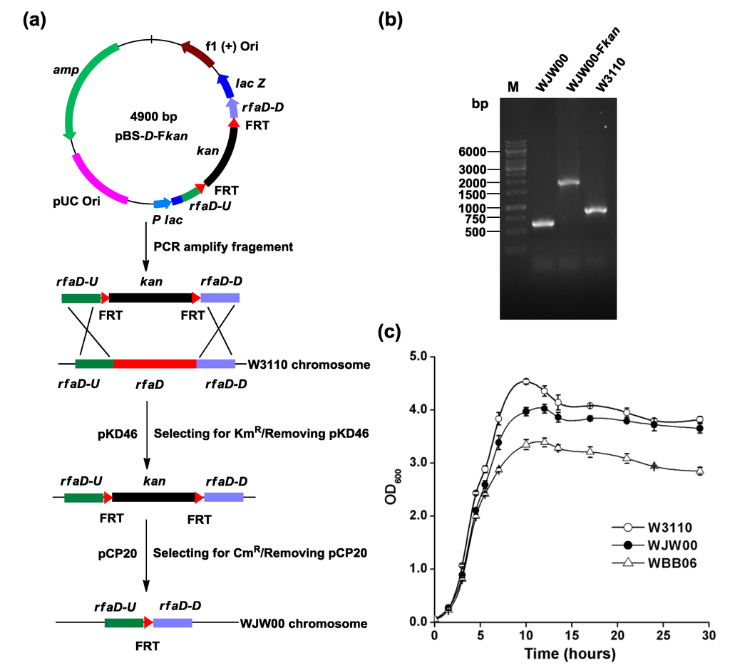 Marinedrugs 12 01495 g002 1024