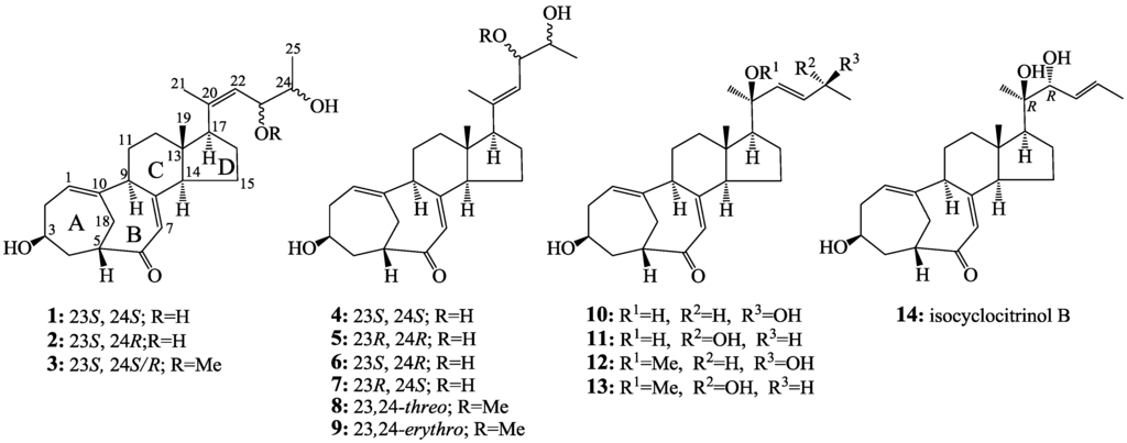 Marinedrugs 12 01545 g001 1024
