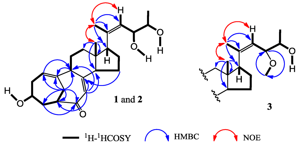 Marinedrugs 12 01545 g002 1024