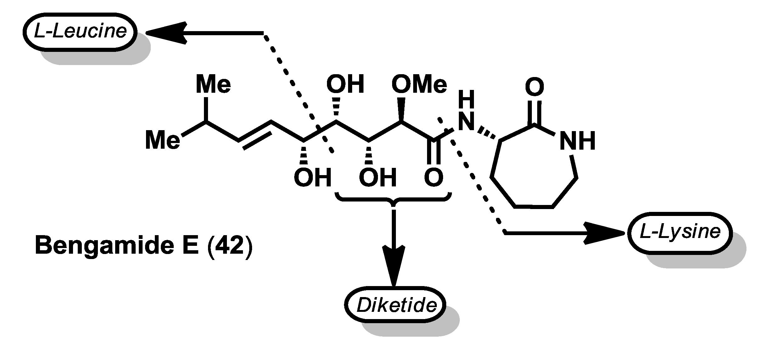 Marinedrugs 12 01580 g004