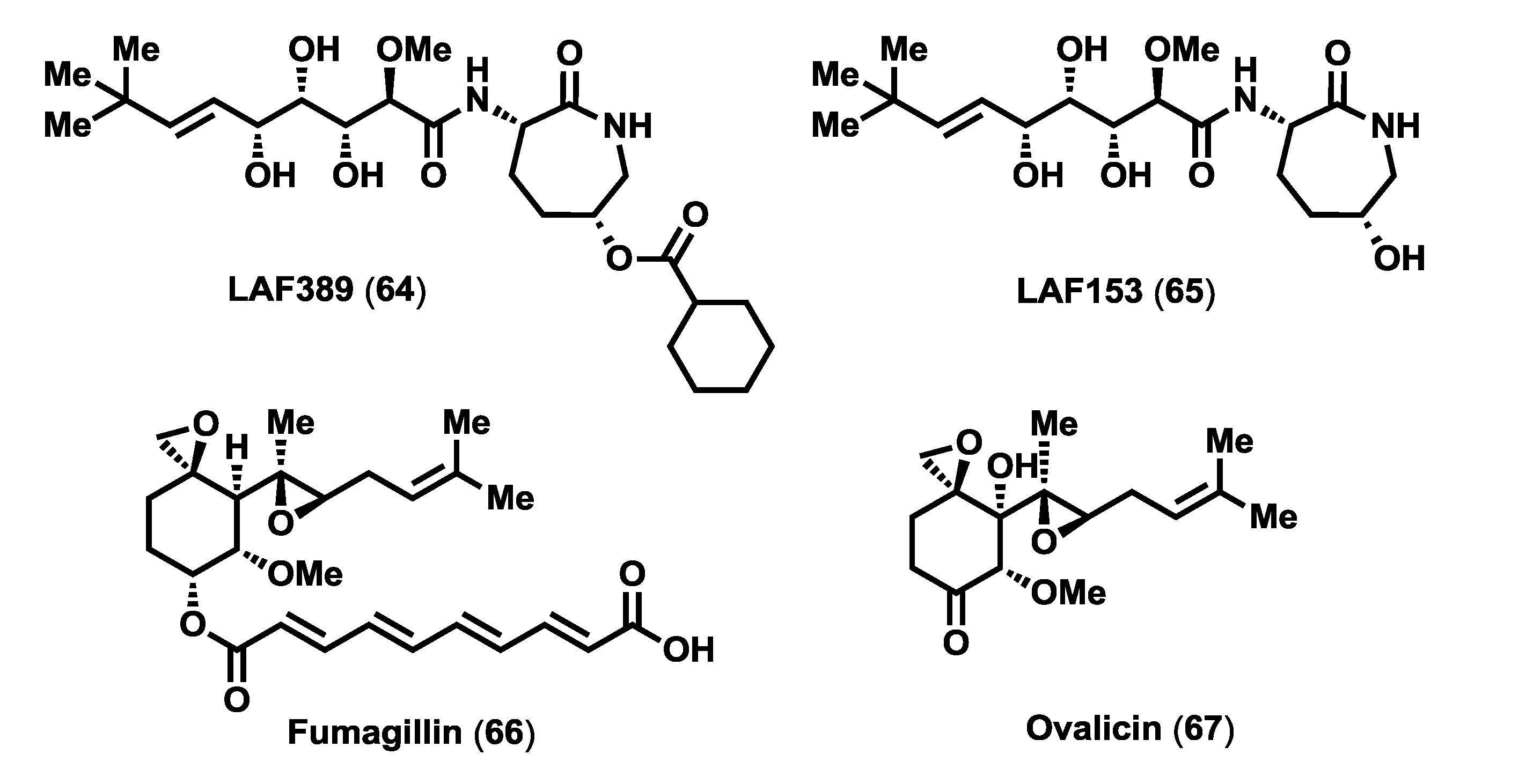 Marinedrugs 12 01580 g005