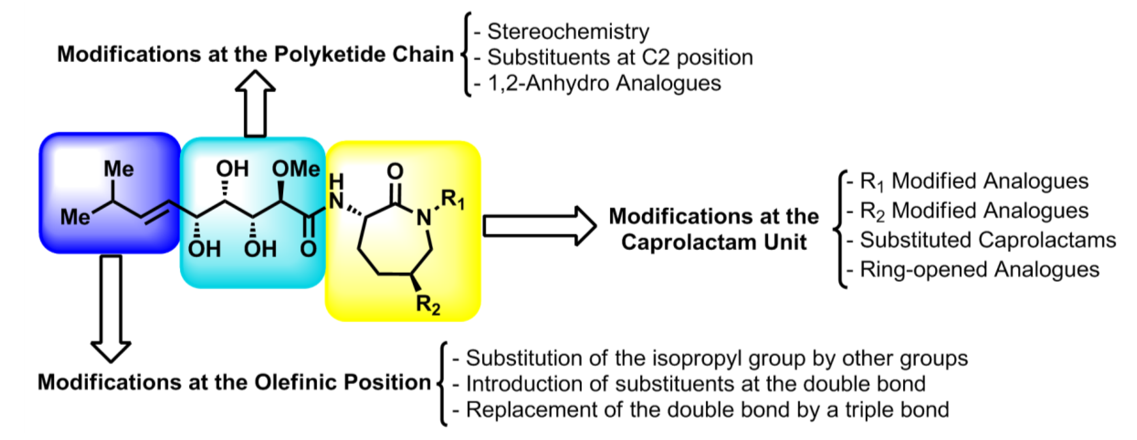 Marinedrugs 12 01580 g008