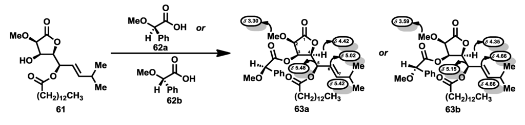 Marinedrugs 12 01580 g012 1024