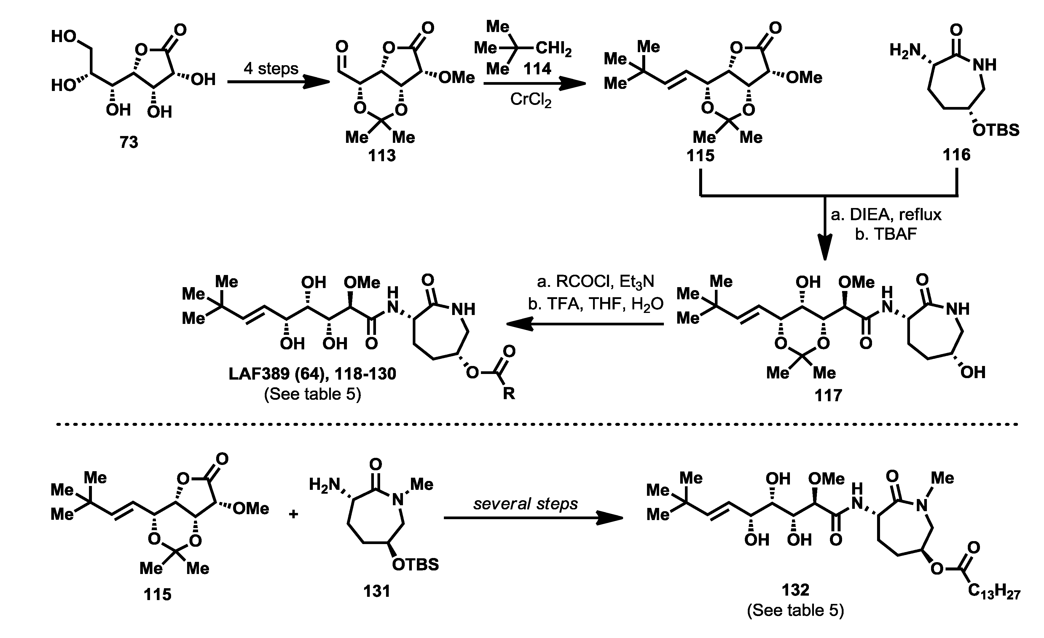 Marinedrugs 12 01580 g017
