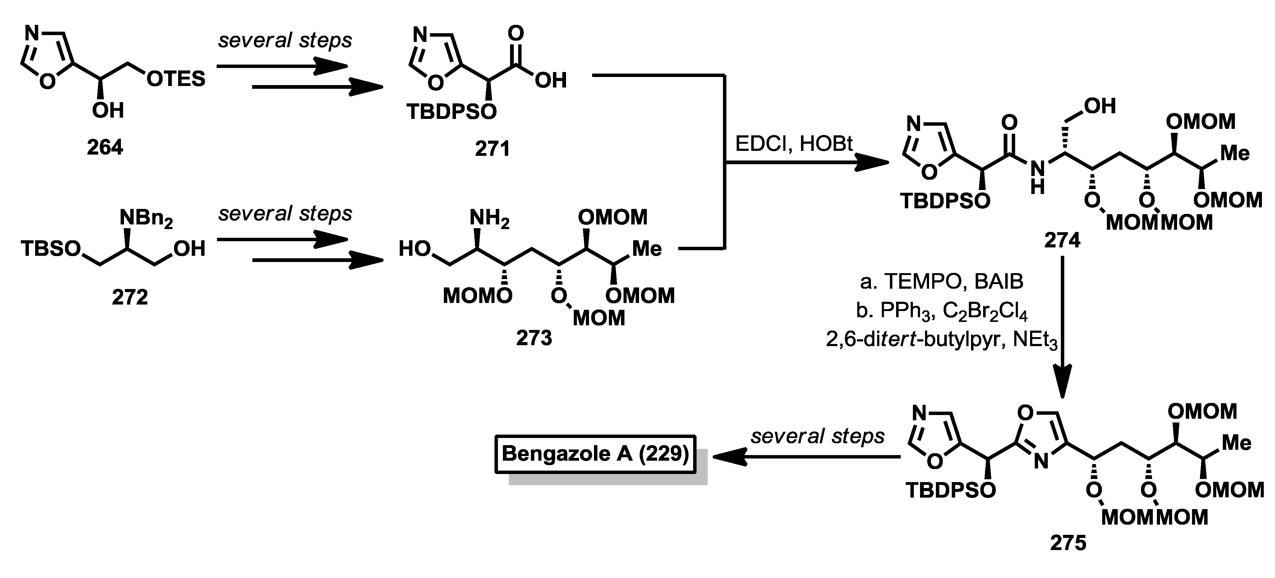 Marinedrugs 12 01580 g023