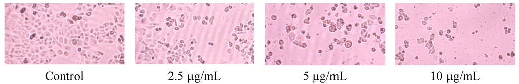 Marinedrugs 12 01715 g003 1024