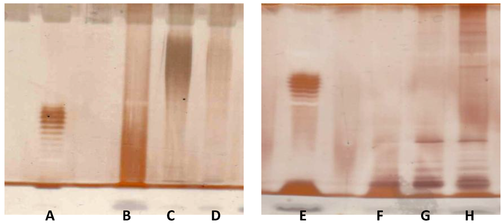 Marinedrugs 12 01732 g007 1024