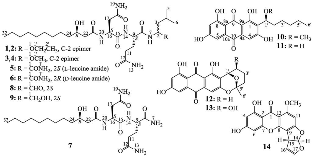 Marinedrugs 12 01815 g001 1024