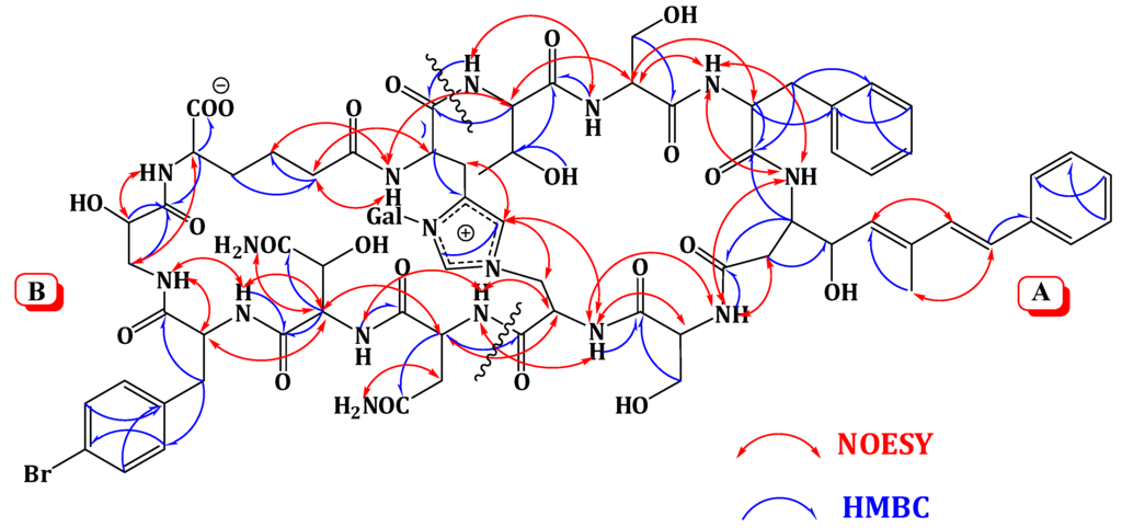 Marinedrugs 12 01911 g003 1024