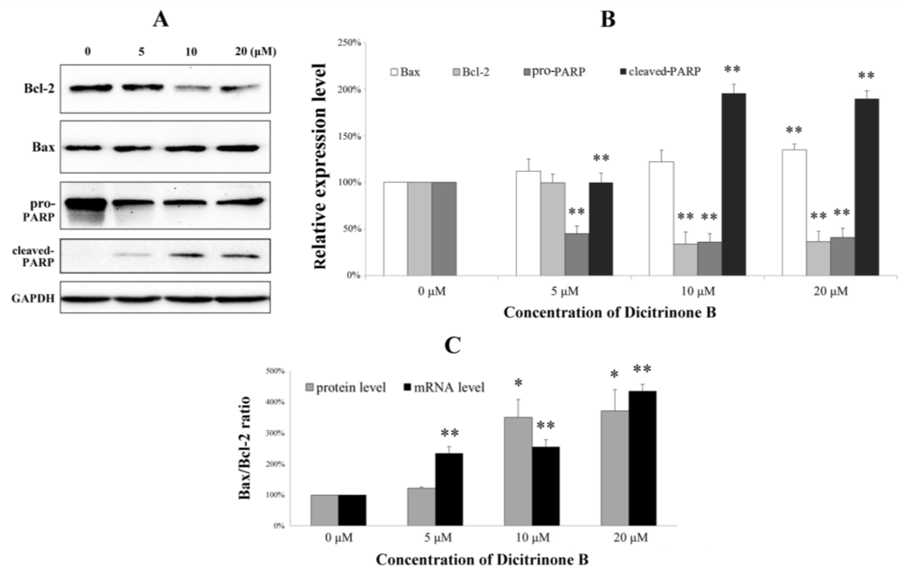 Marinedrugs 12 01939 g008 1024